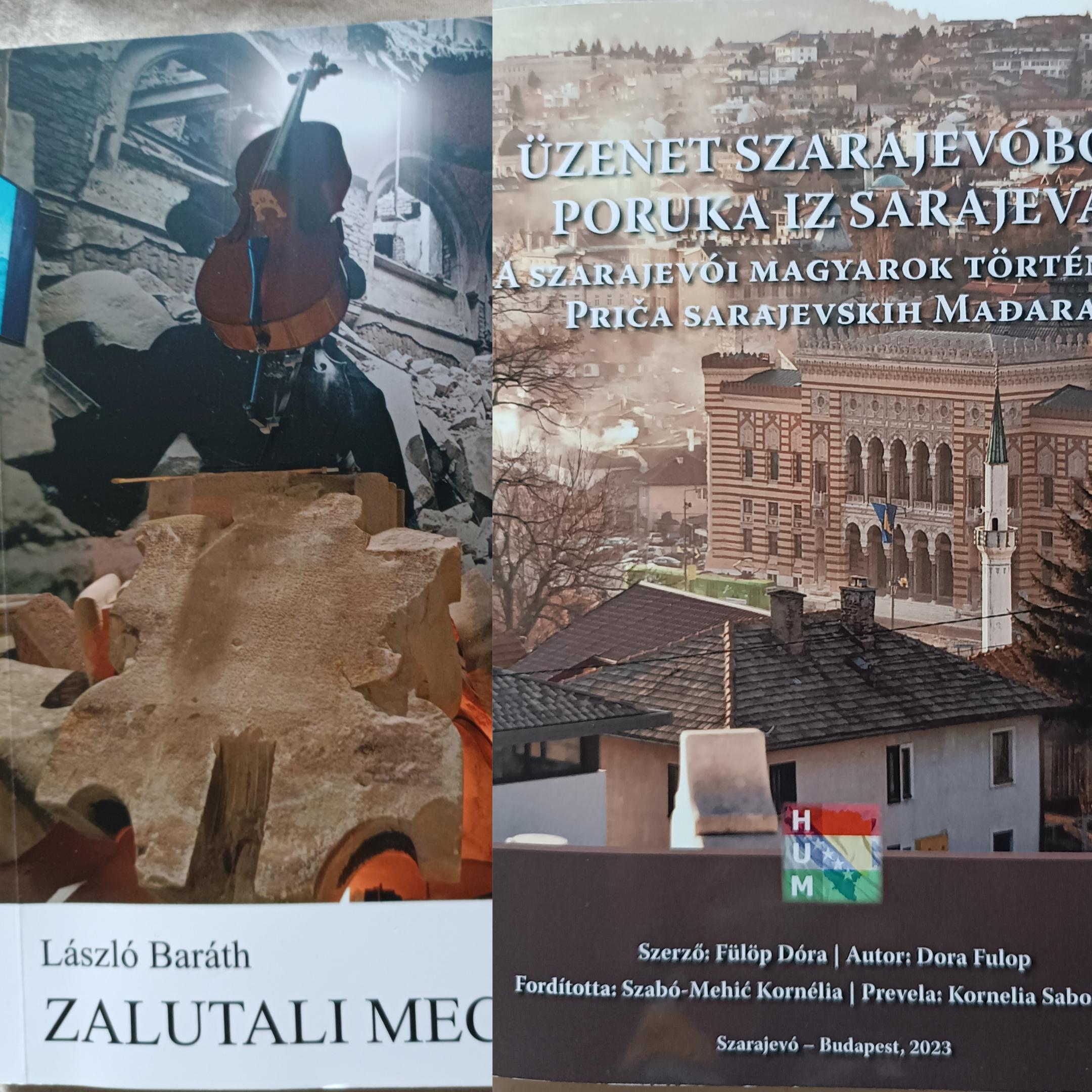 EMISIJA NAMIJENJENA NACIONALNIM MANJINAMA U BOSNI I HERCEGOVINI